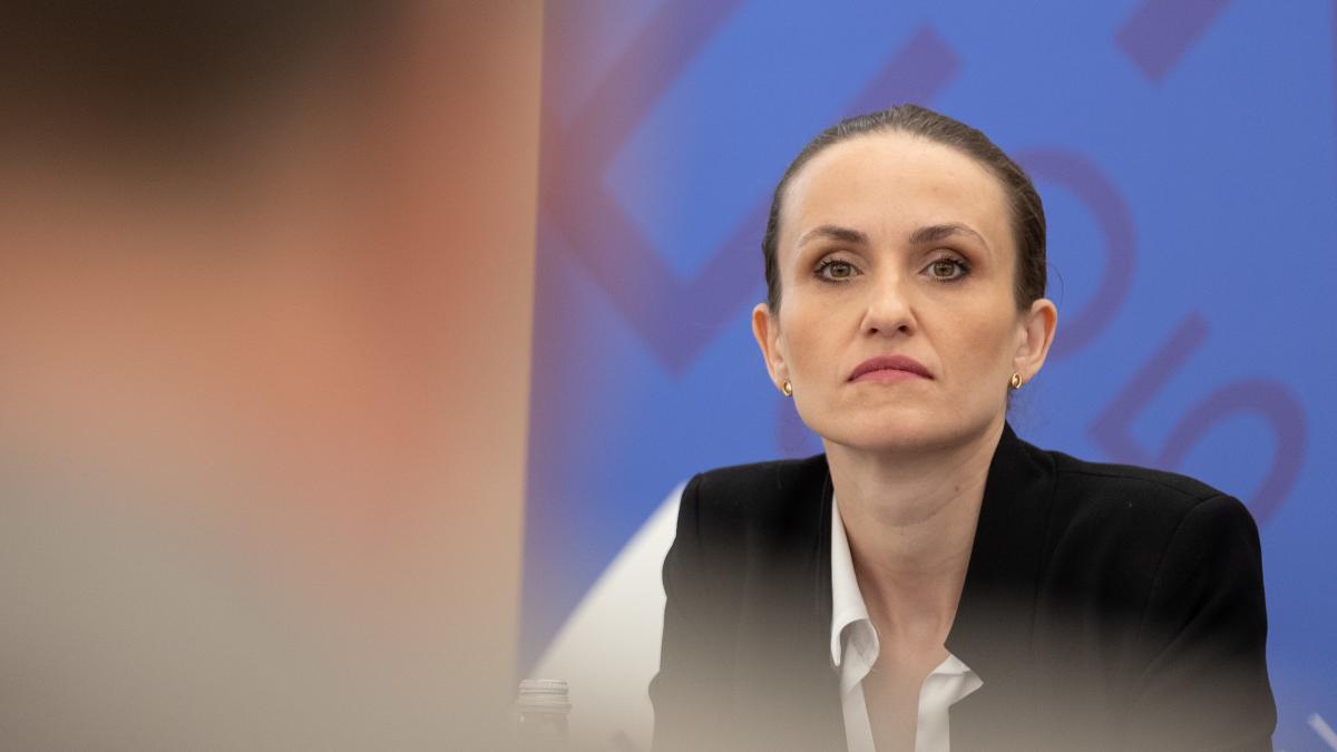 Oana Toiu Sustinem negocieri pentru pacea in Ucraina
