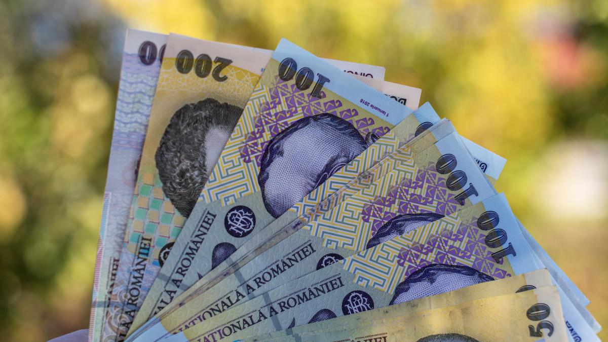 Cati bani au primit partidele in septembrie 2023