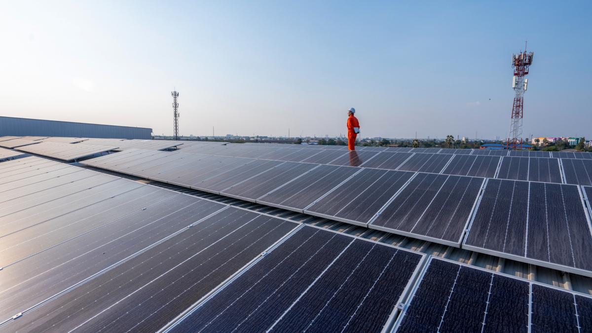 Diana Buzoianu Parc fotovoltaic cu cost reduz de 8 ori