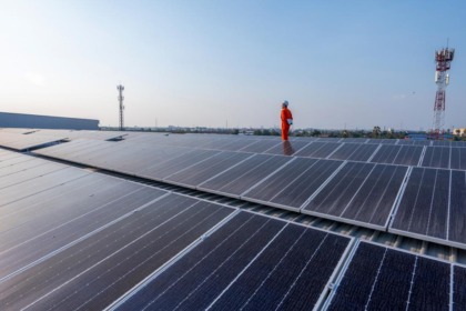 Diana Buzoianu Putem face parc fotovoltaic cu 8 mai putin