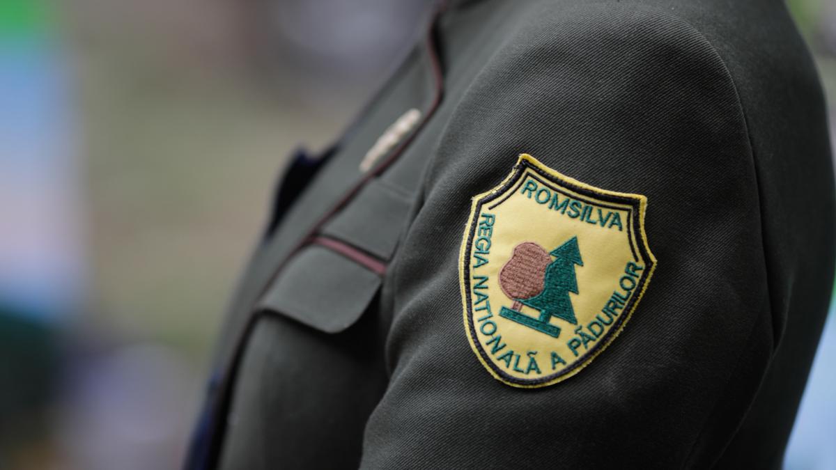 Diana Buzoianu anunta aviz pentru reforma Romsilva