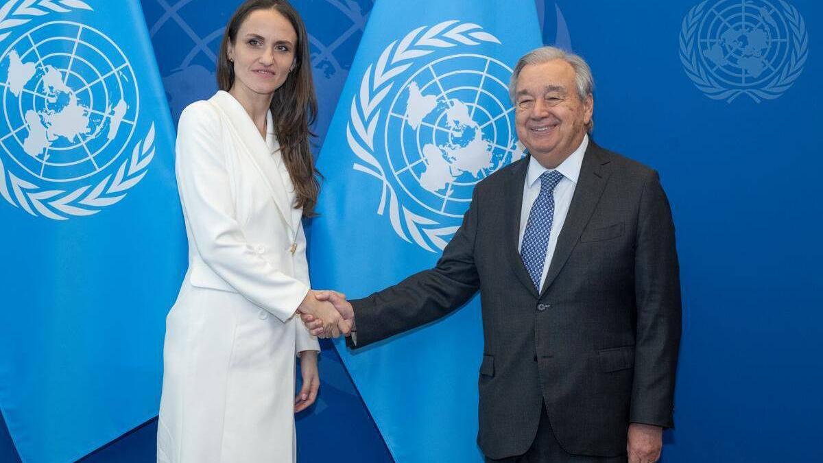 Oana Toiu mesaj la ONU Am tras un semnala