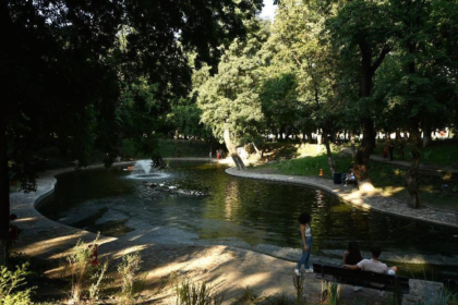 Primaria Sectorului 1 renunta la Lumina Park Kiseleff