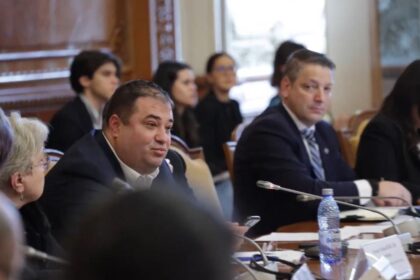 Circ in Parlament la audierea sefilor ANRE si ANCOM