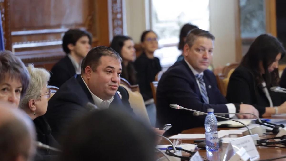 Circ in Parlament la audierea sefilor ANRE si ANCOM