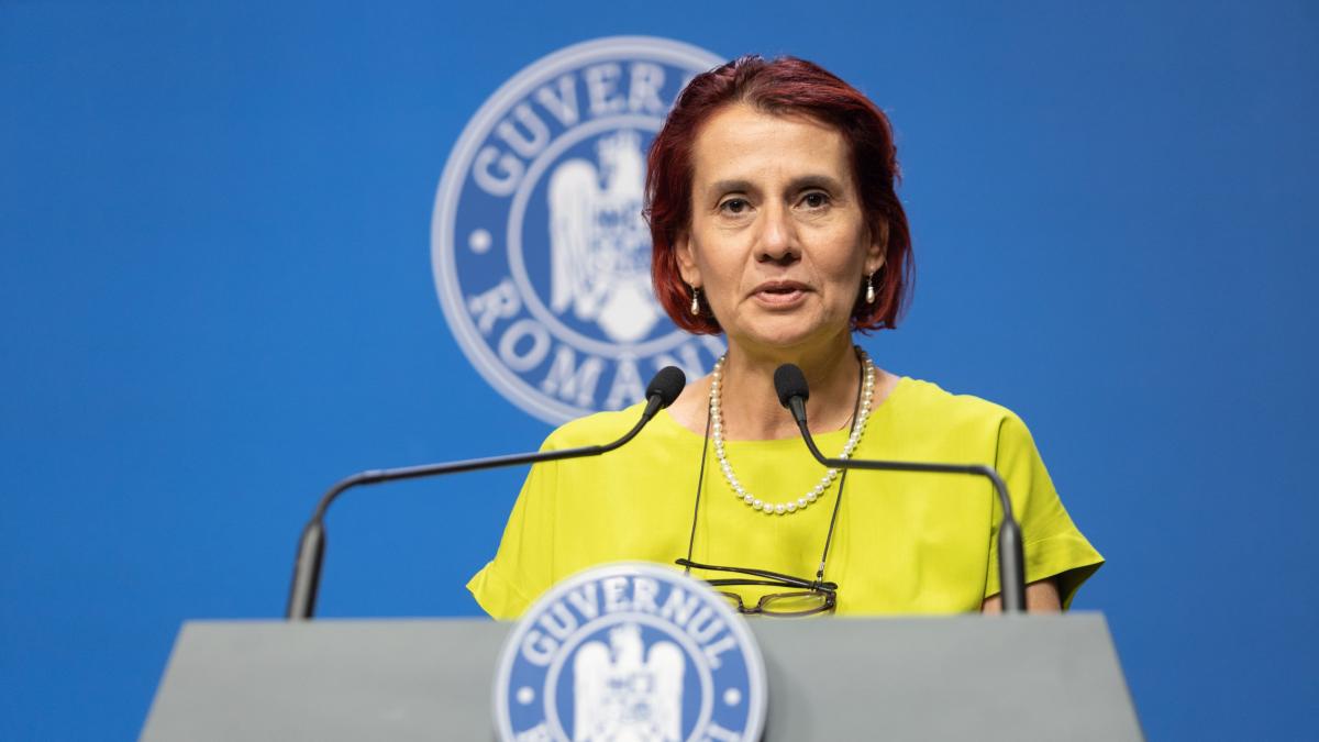 Ioana Dogioiu Guvernul asteapta motivarea CCR pentru pensii