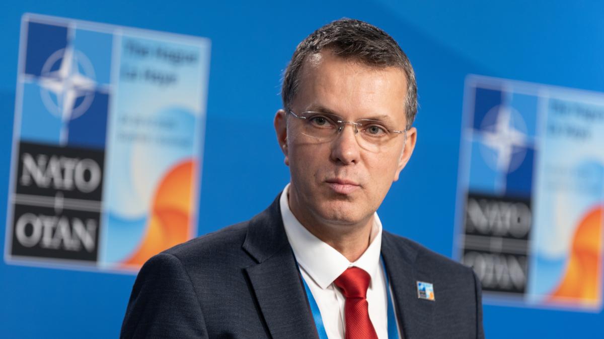 Ionutz Mosteanu Dronele ruseshti neautorizate vor fi distruse