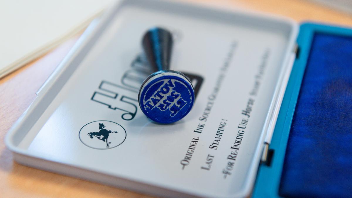 Autoritatea Electorala a facut public Registrul sectiilor de votare