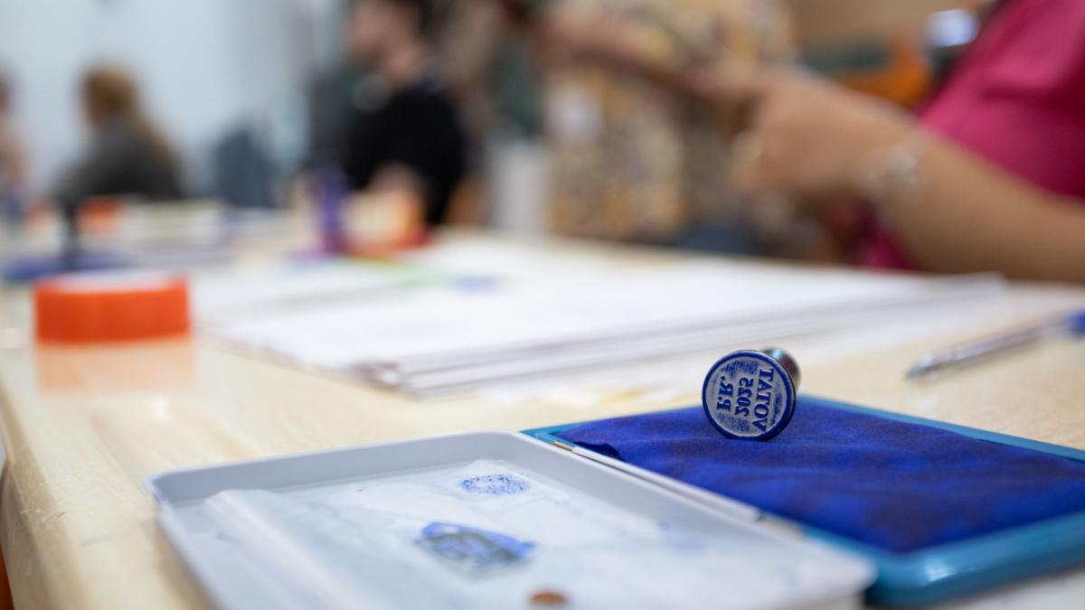 Cum va fi buletinul de vot la alegeri