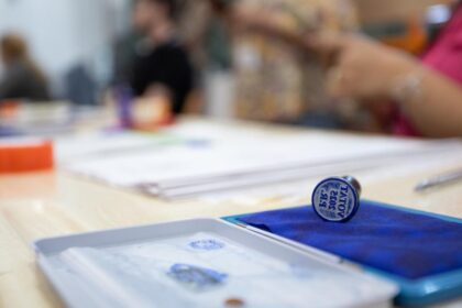 MAI campanie de informare inainte de alegeri Nu fotografiati buletinul de vot Este ilegal