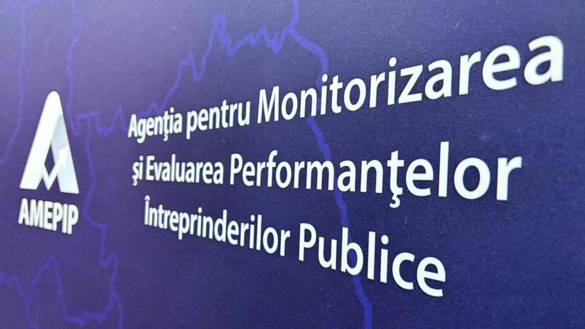 Mega agencia AMEPIP are o noua conducere Anioara Ulcelue