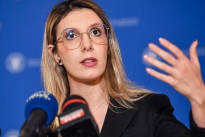 Ministra Mediului propune schimbarea pretului mediu pentru prejudicii