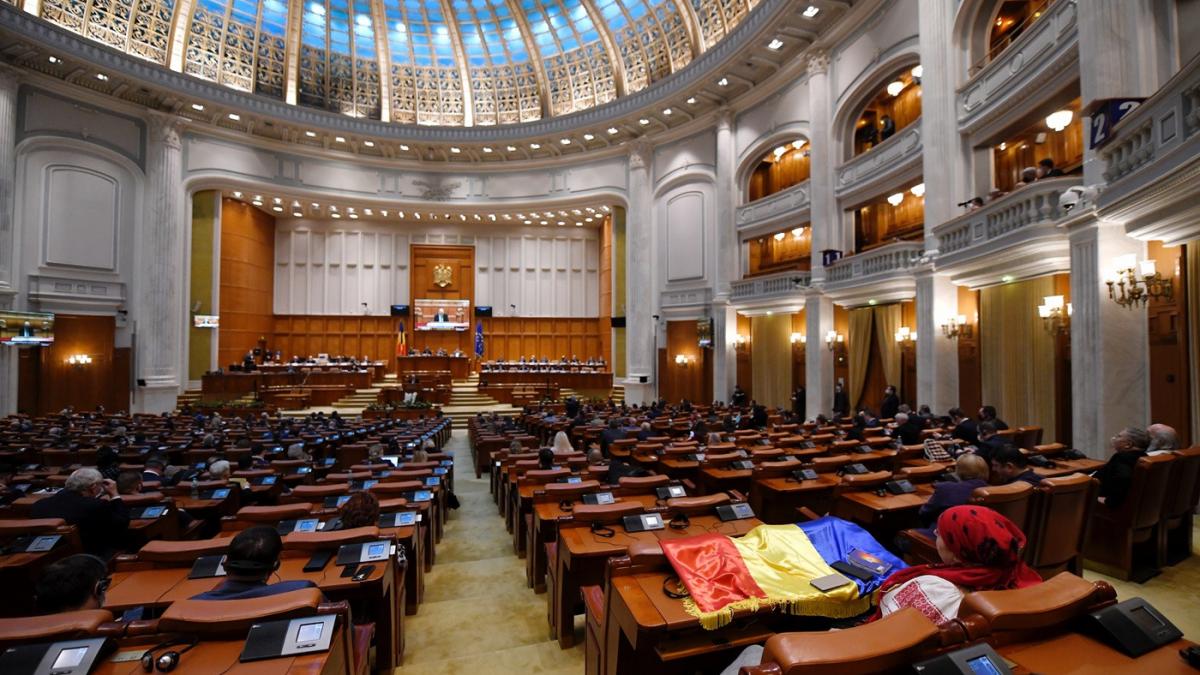 Senatorul chiulangiu anchetat pentru furt de rucsac