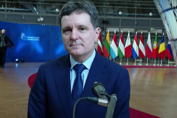 Nicisor Dan explica ce inseamna ca nu a avut teleleu la Davos Inainte de a merge si noi
