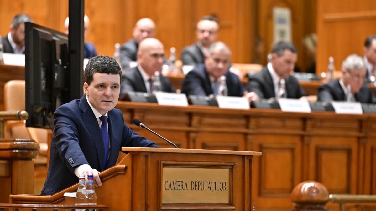 AUR solicta partidului lui Sorin Grindeanu sa sprijine suspendarea lui Nicusor Dan Fara