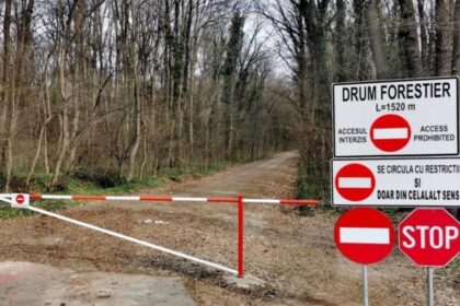 Corpul de Control al Ministerului Mediului a finalizat evaluarile privind drumul forestier din