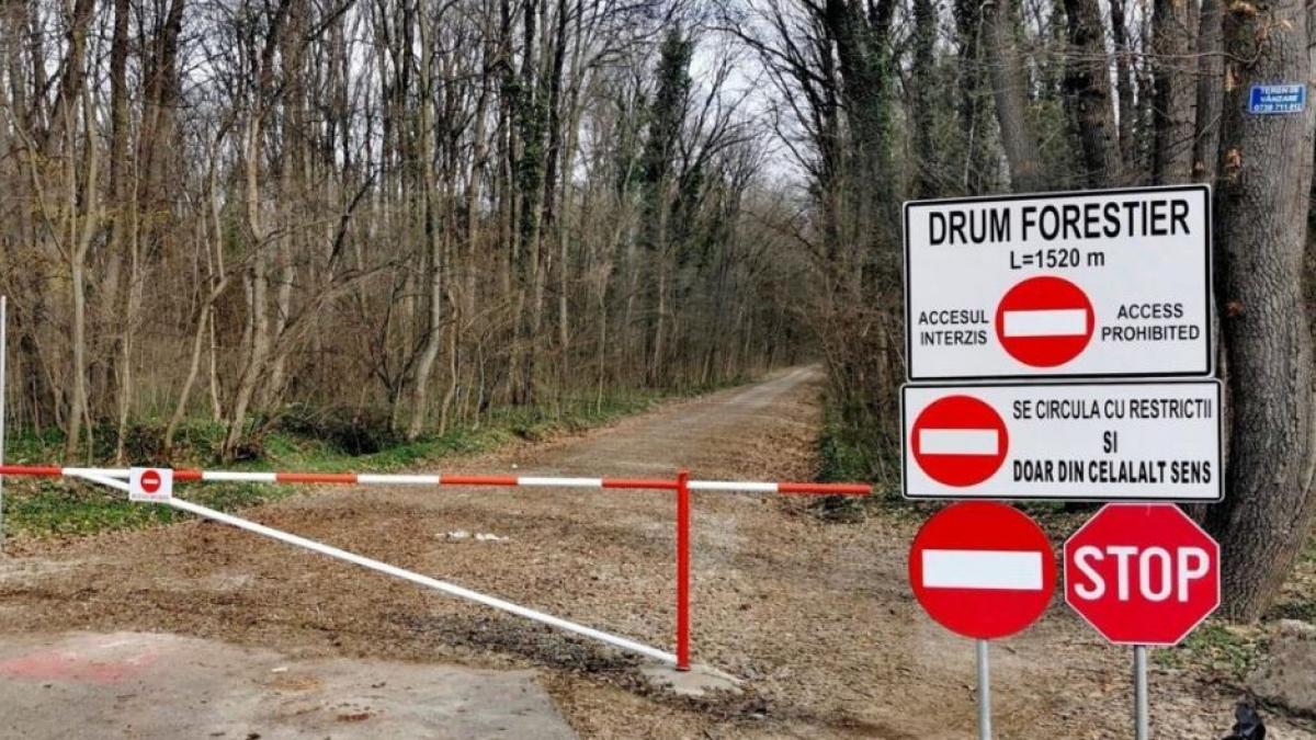 Corpul de Control al Ministerului Mediului a finalizat evaluarile privind drumul forestier din