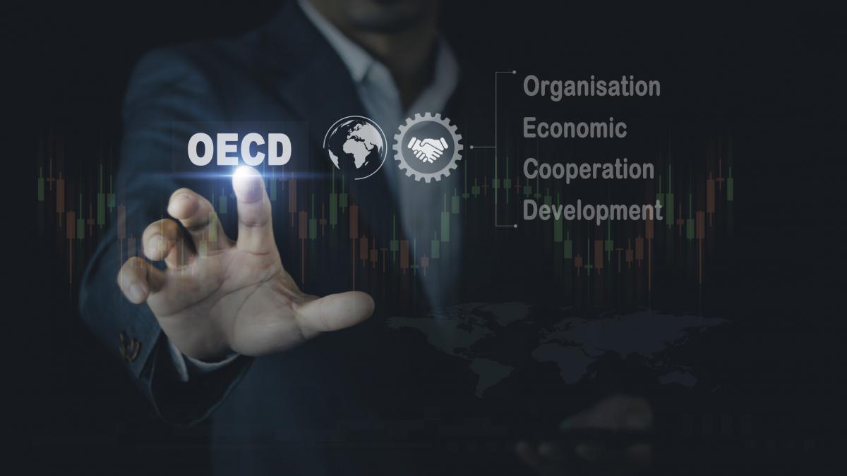 Ministerul Finantelor Romania finalizeaza cu succes evaluarea in cadrul Comitetului OCDE pentru Afaceri