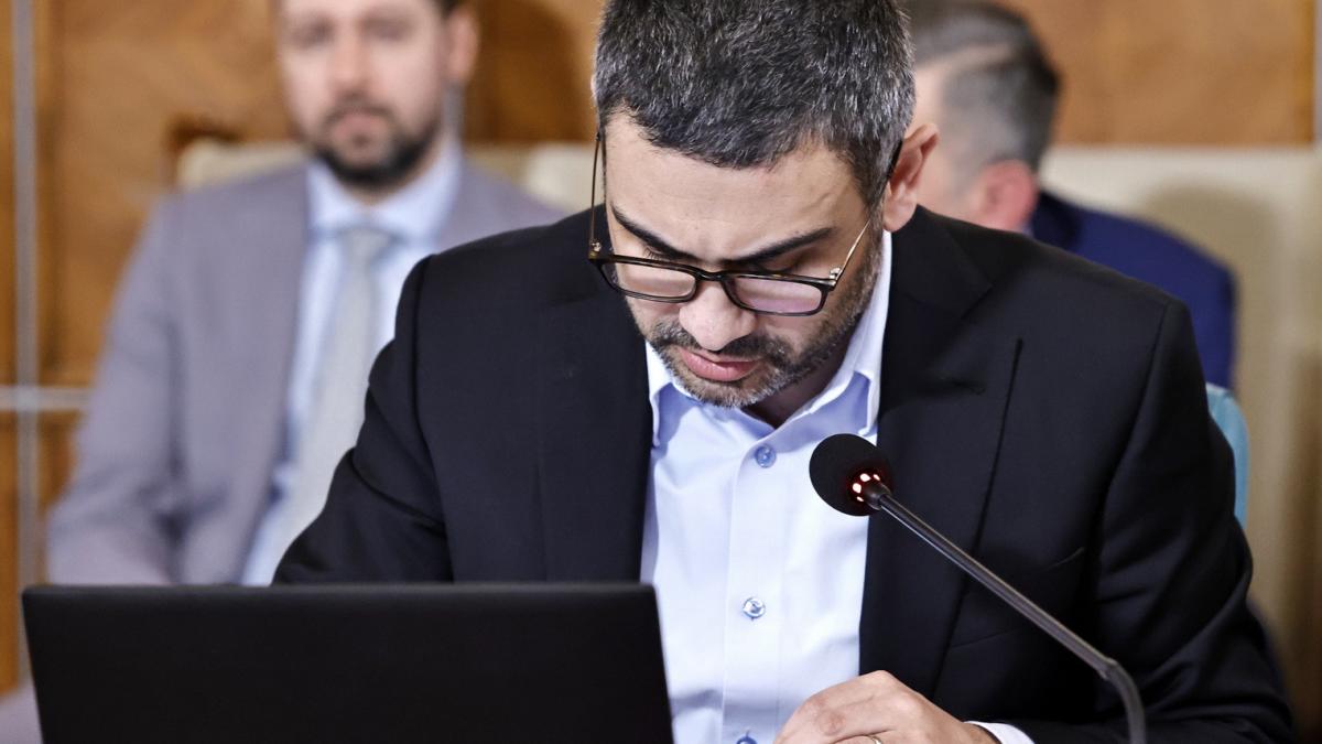 Ministrul Manole intentioneaza sa mareasca indemnizatia pentru copiii cu dizabilitati Intre 80 si 460 de