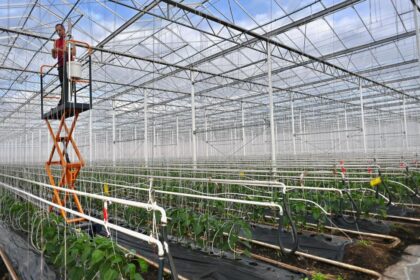Noua detalii despre impozitul pe sere Ministrul Agriculturii Termenul a fost extins Proiectul ajunge