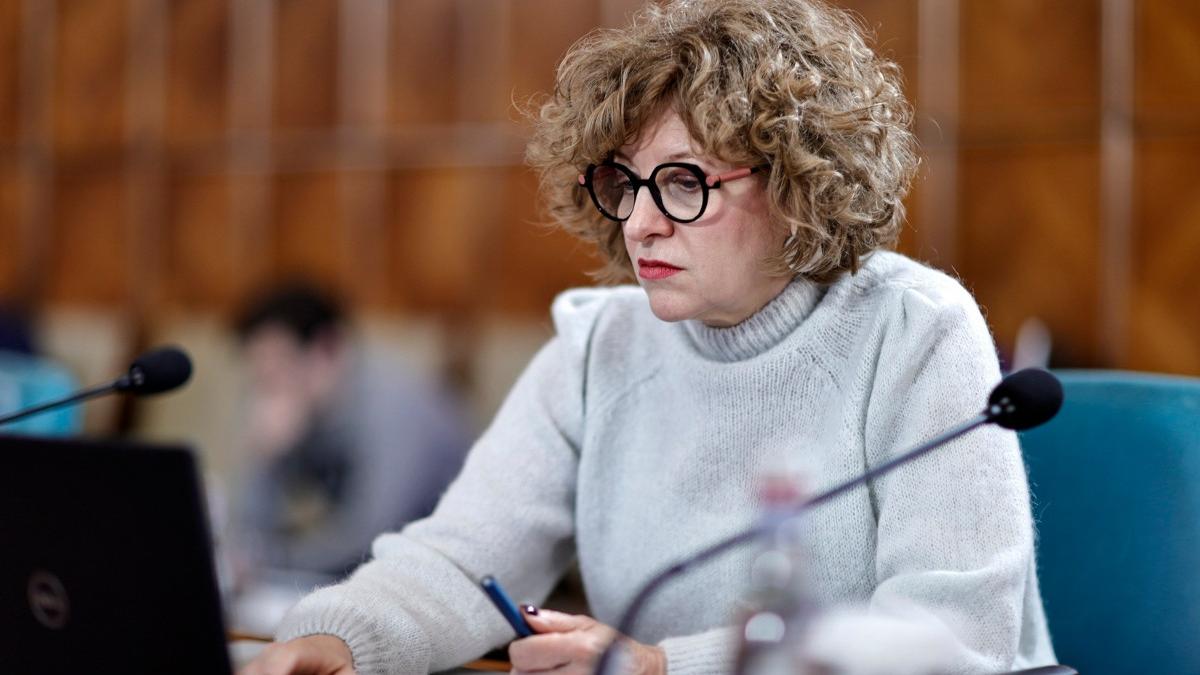 Oana Gheorghiu lanseaza un ultimatum pentru Tarom Metrorex si CFR Scopul nu este sa desfiintam locuri de munca dar
