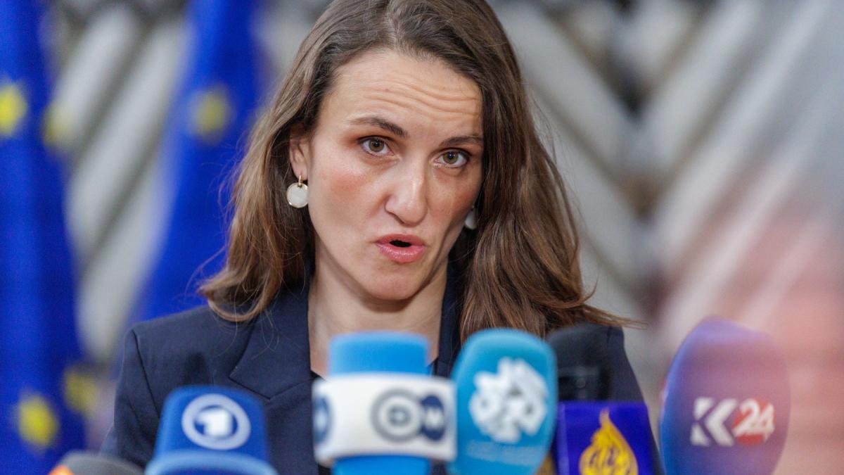 Acuzaii grave la adresa Oanei Toiu Ar fi dispus excluderea fiicei lui Victor Ponta din