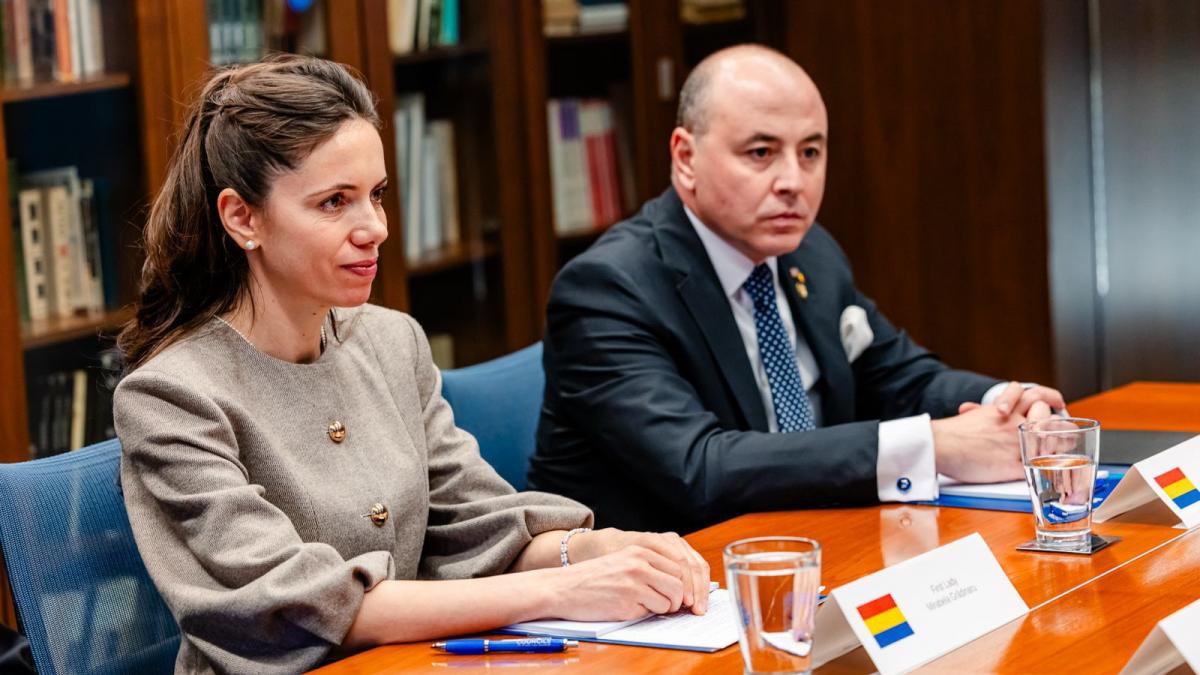 Ambasada Romaniei in SUA Vizita Mirabelei Grdinaru la American Councils a avut ca scop
