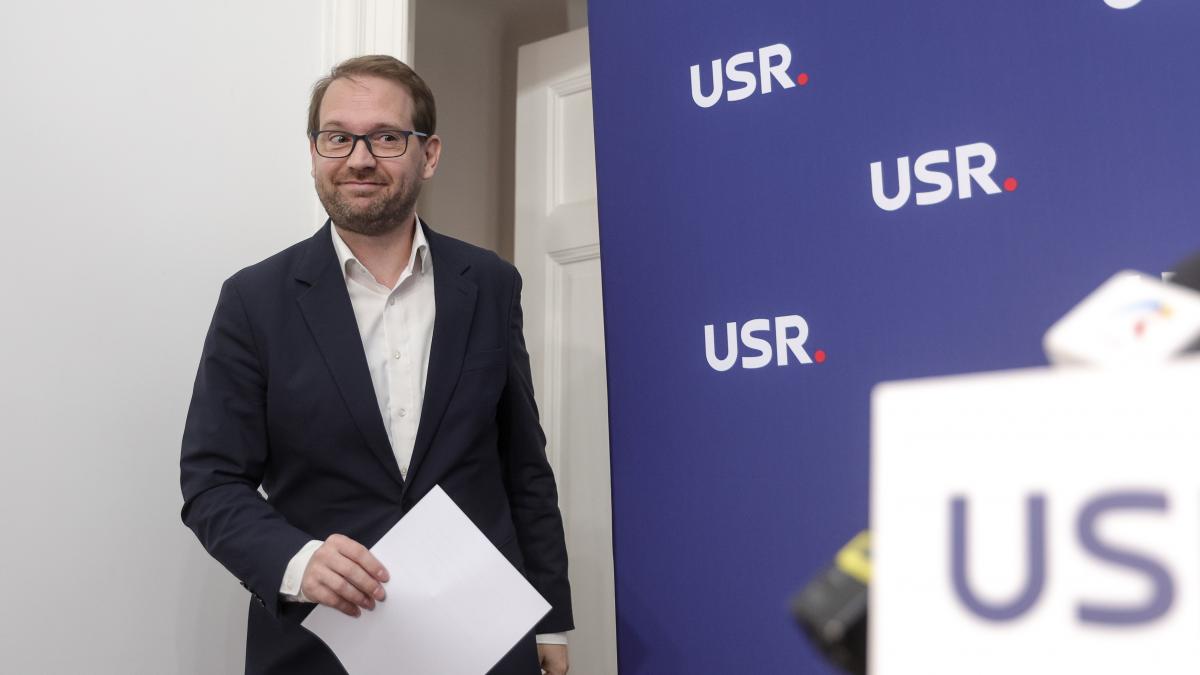 Dominic Fritz dupa respingerea motiunii impotriva Dianei Buzoianu Nu pot ei sa o depun