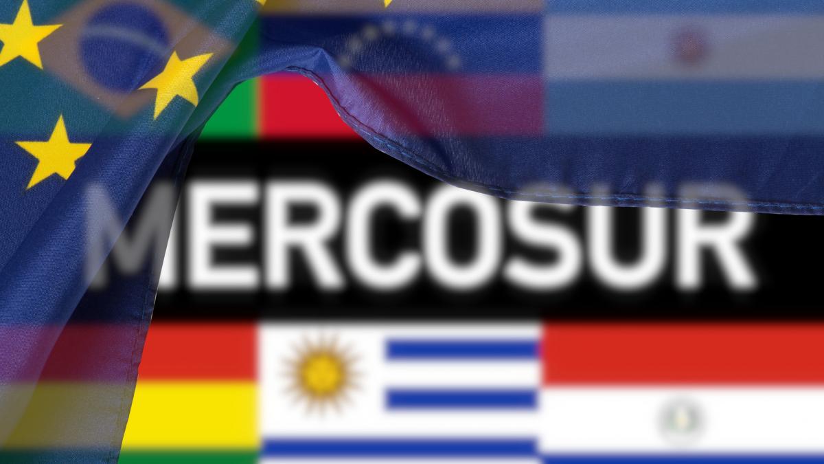 Guvernul a dat unda verde memorandumului pentru semnarea Acordului UE Mercosur Pasul 2 ratificarea in