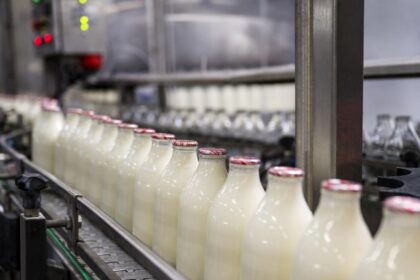 Laptele romanesc parasete piata fermierii vand cu pierdere iar importurile complica productia