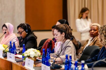 Mirabela Grdinaru vizita la American Councils Discutii privind programele comune SUA Romania dedicate