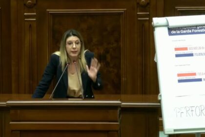 Motionea simpla impotriva Dianei Buzoianu a fost respinsa PSD nu a votat Bolojan a lipsit Schimb dur de