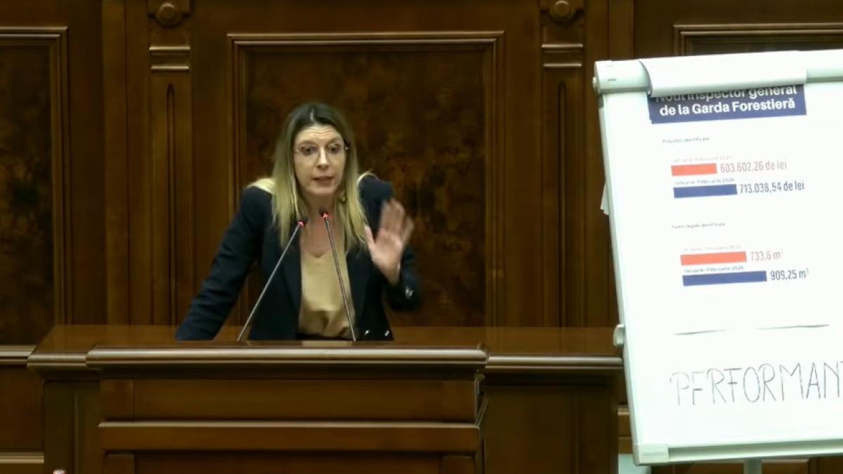 Motionea simpla impotriva Dianei Buzoianu a fost respinsa PSD nu a votat Bolojan a lipsit Schimb dur de