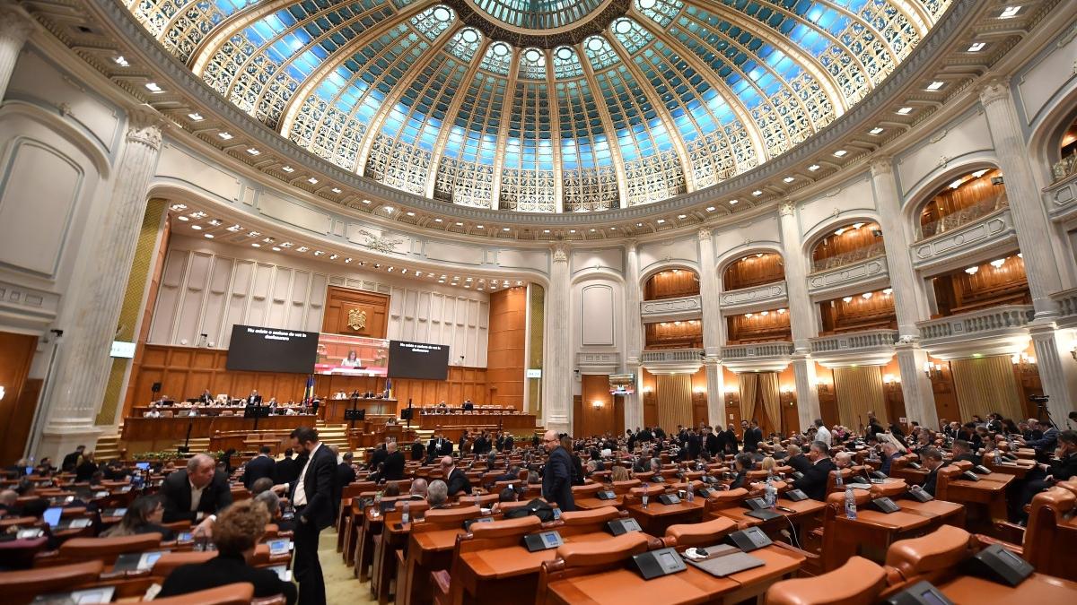 Senat Copiii cu nevoi speciale vor primi masa calda sau pachet alimentar in loc de alocatie de