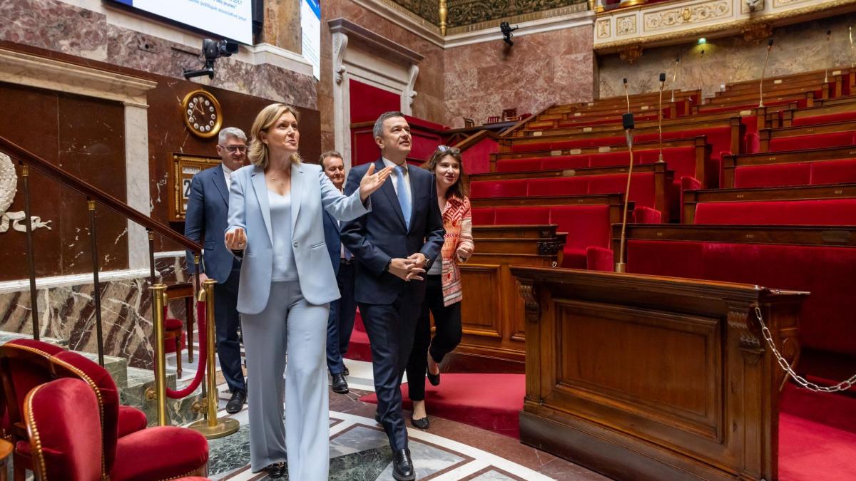 Declaratia lui Grindeanu dupa intalnirea cu presedinta Adunarii Nationale a Frantei Imi doresc