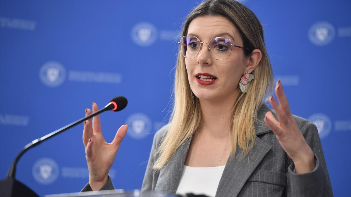 Diana Buzoianu anunta ca instanta a refuzat suspendarea reorganizarii Romsilva Continuam reforma