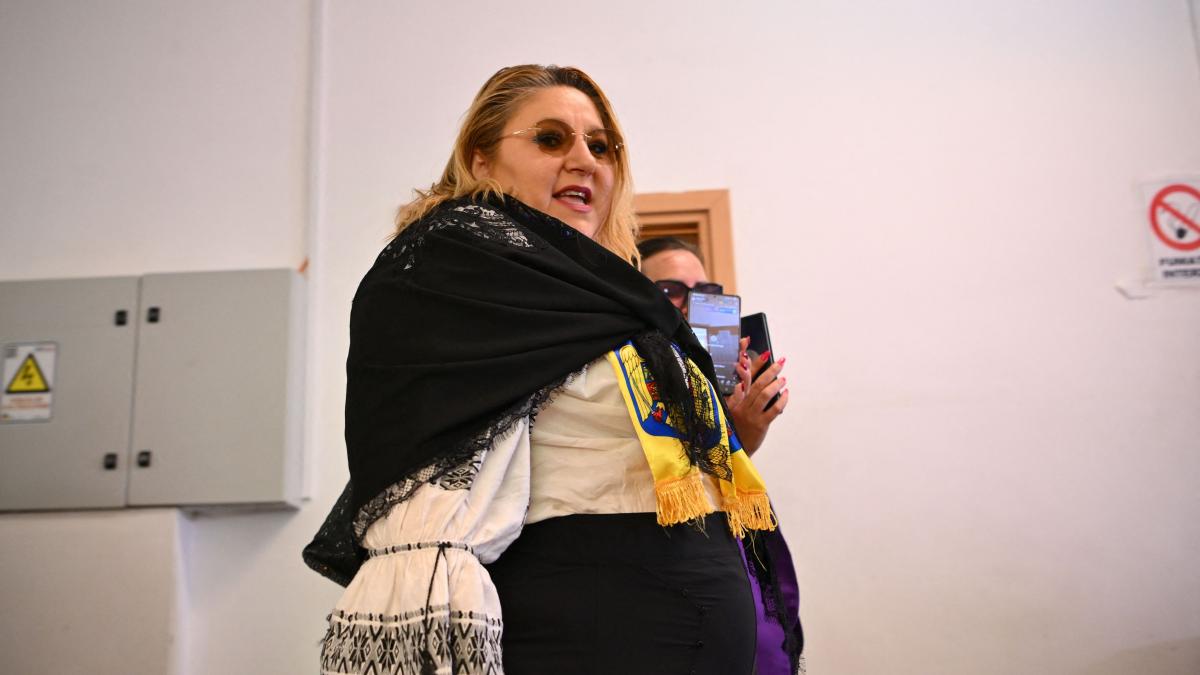 Parlamentul European a aprobat ridicarea imunitatii Dianei Sosoaca acuzata de 11 infractiuni