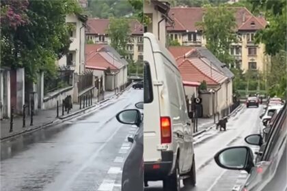 Un urs surprins alergand pe strazile din Brasov aproape de Biserica Neagra Ce a surprins un trecator in filmare