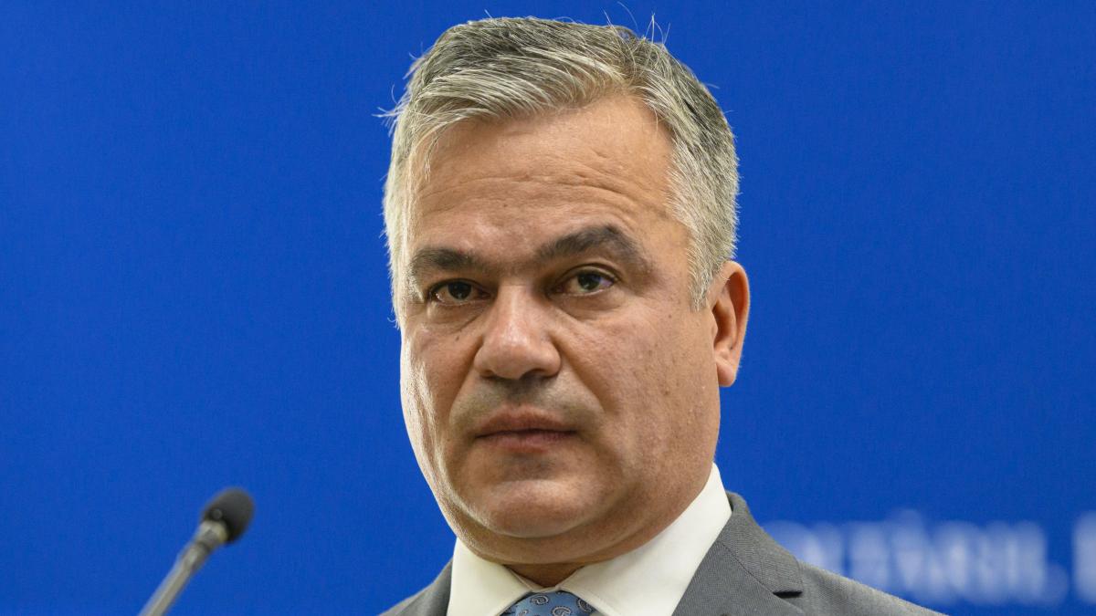 Cine este Adrian Vestea numit prim ministru de presedintele Nicuser Dan Membru PNL din 1994