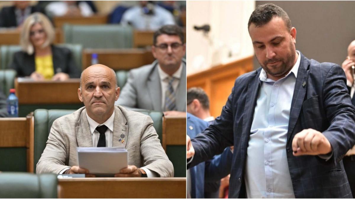 Cum a reformat Bolojan un alt suveranist Senatorul Bortun a renuntat la Anamaria Gavrila Da