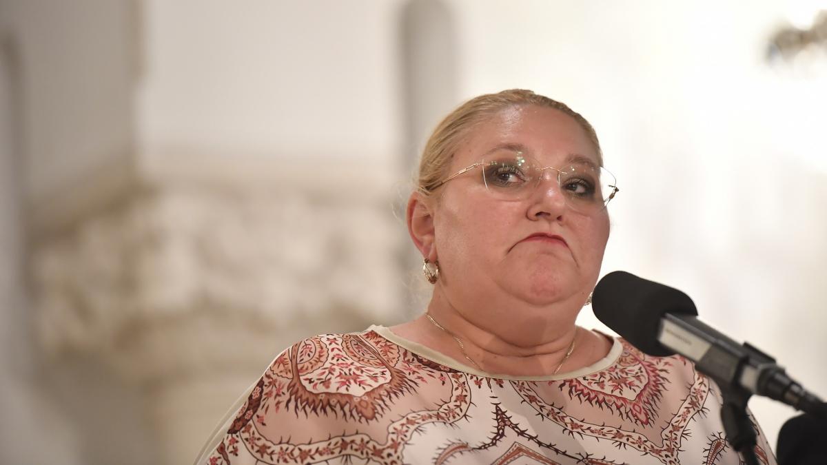 Diana Sosoca primele declaratii dupa accidentul in care a fost implicata Ce mesaj a transmis
