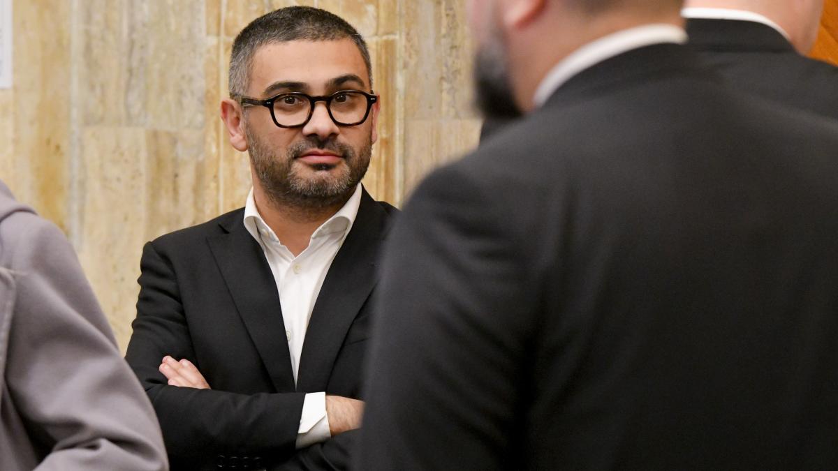 Florin Manole Problemele din legea salarizarii pot fi solutioante Vom crea o lege acceptabila nu