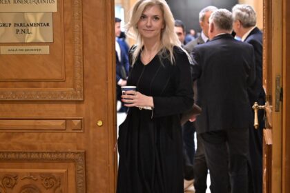 PNL afirma ca dosarul in care se cere anularea Congresului a fost ainat unui foste colaboratoare