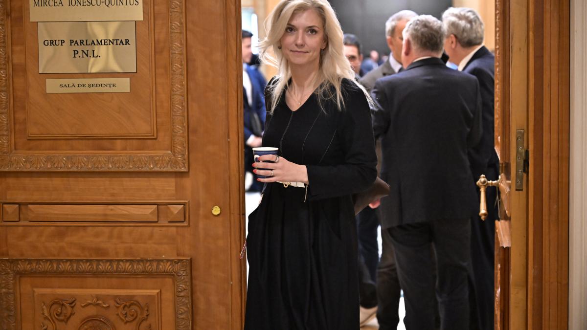PNL afirma ca dosarul in care se cere anularea Congresului a fost ainat unui foste colaboratoare