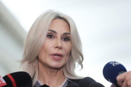 Raluca Turcan sustine ca Platforma Conservatoare din PNL pare ca a fost creata in biroul lui Grindeanu
