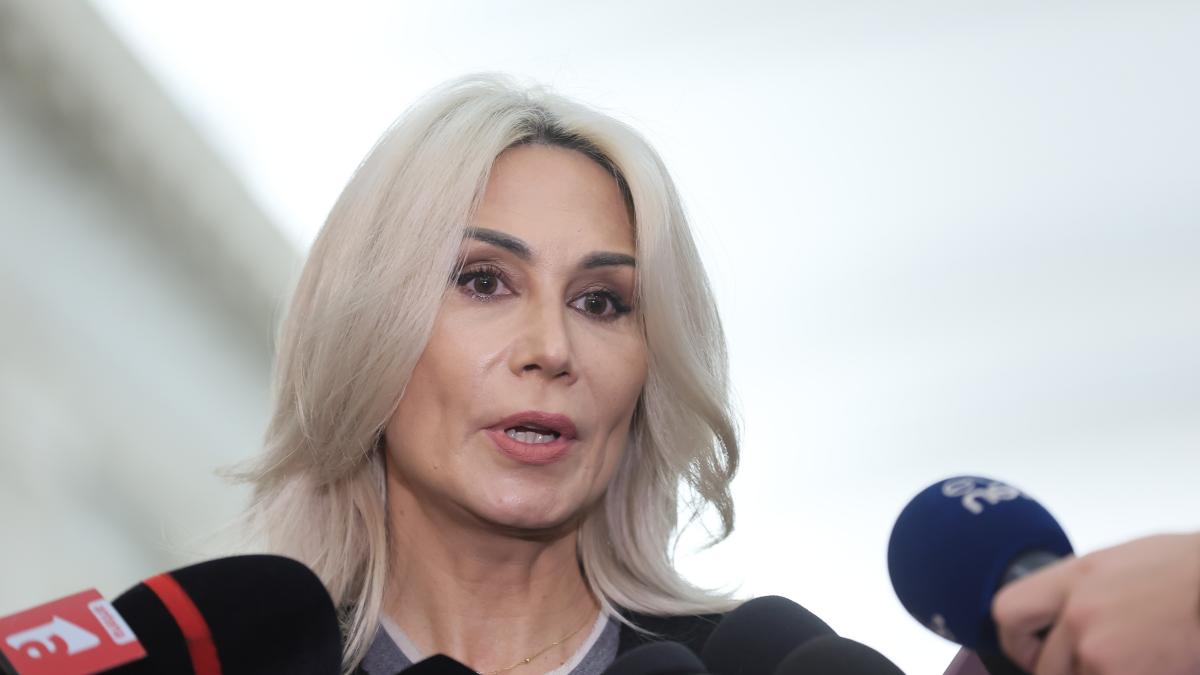 Raluca Turcan sustine ca Platforma Conservatoare din PNL pare ca a fost creata in biroul lui Grindeanu