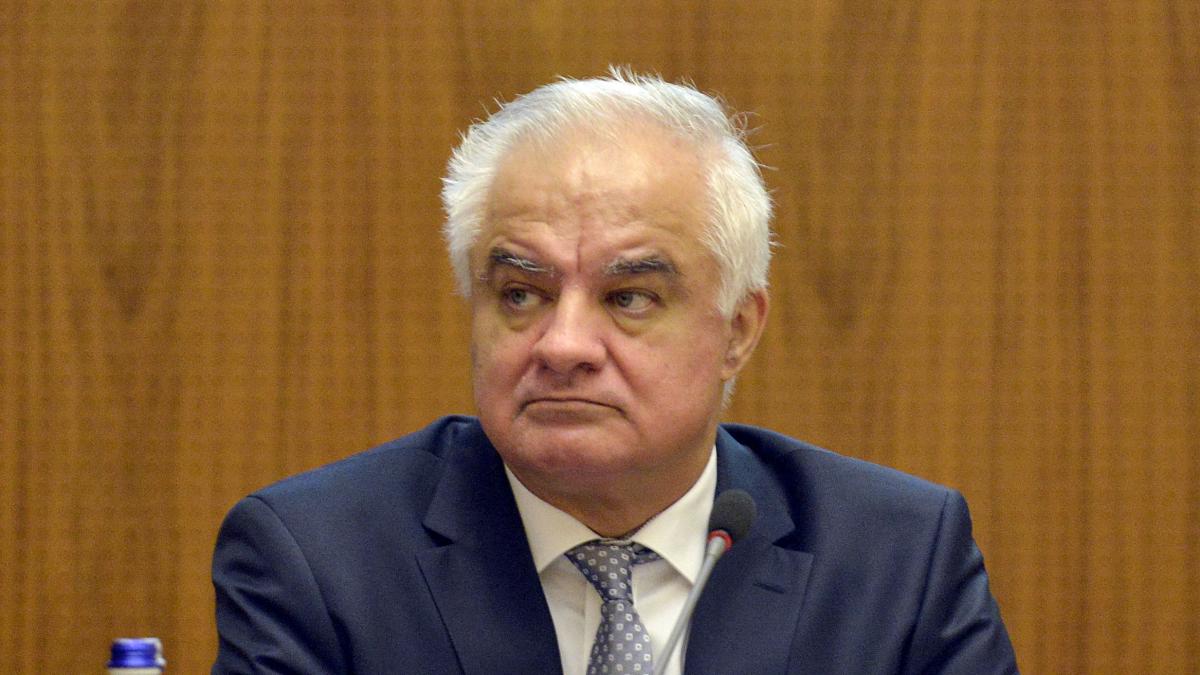 Atac vehement din partea PSD dupa ce consilierul BNR a declarat ca vom consuma scoarta de copac Un privilegiat trebuie demis imediat