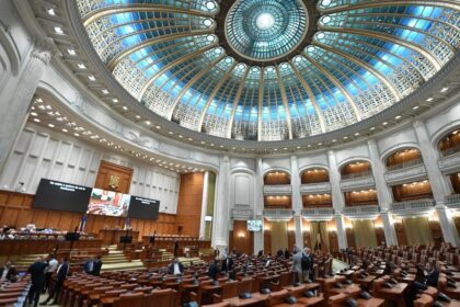 Cum este organizat formularul de interese care inlocuieste declaratiile de avere ale demnitarilor conform Legii ANI Ce informatii vor ramane secrete