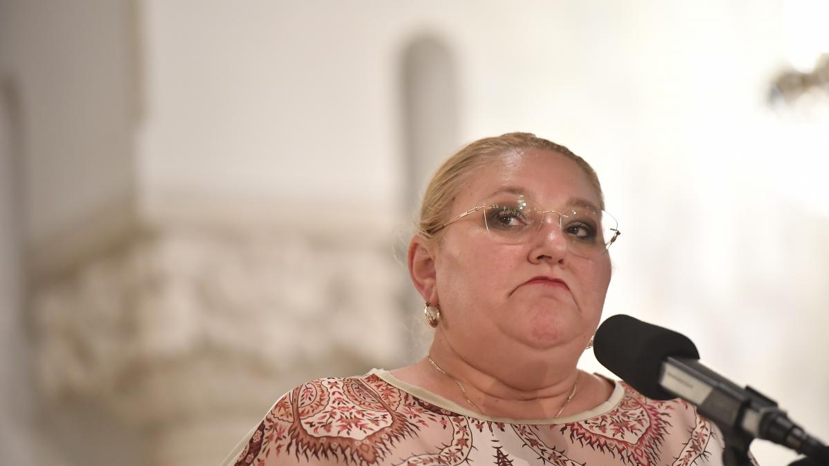 Diana Sosoca a fost reclamat la Parchetul General pentru tradare de tara Este subordonata unei