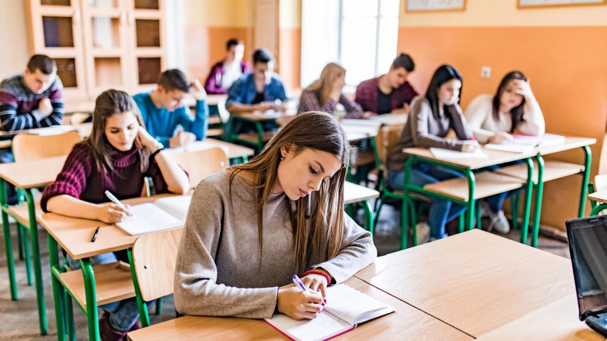 PSD PNL si USR declara ca se opus examenelor de admitere la liceu dupa scandalul provocat de ordinul ministrului Dimian